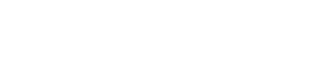 BEVISION
